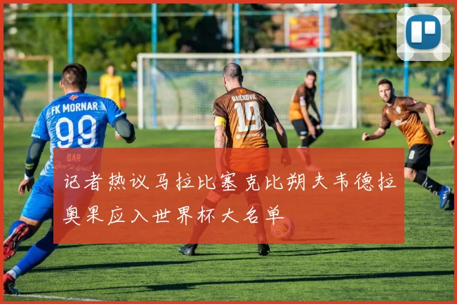 记者热议马拉比塞克比朔夫韦德拉奥果应入世界杯大名单